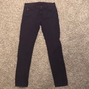 Hudson Purple Skinny Jeans (size 30)